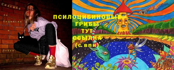 mdpv Зерноград