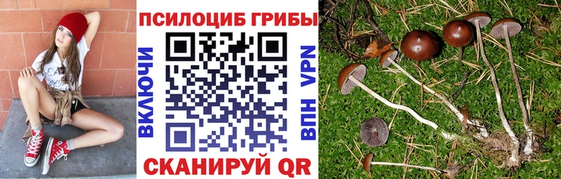 Купить закладки  Кировград  Галлюциногенные грибы Psilocybine cubensis 